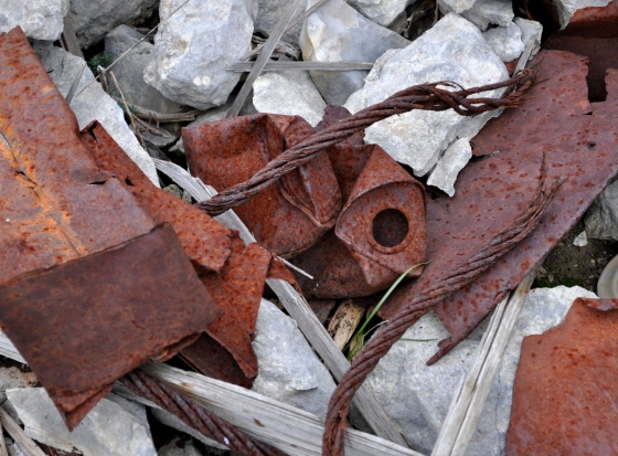 Rost