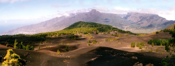 Panorama