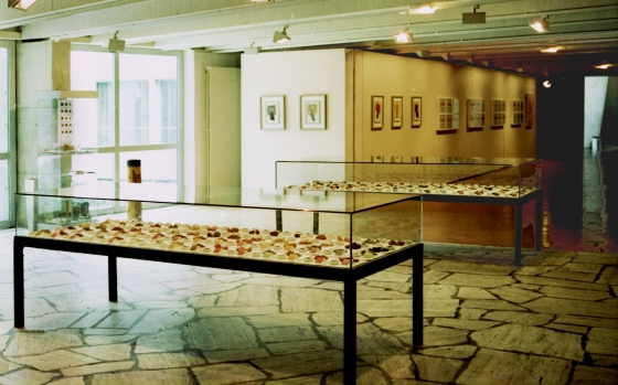Ausstellung